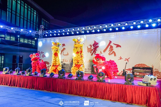 20190219元宵晚会1龙狮队醒狮开场