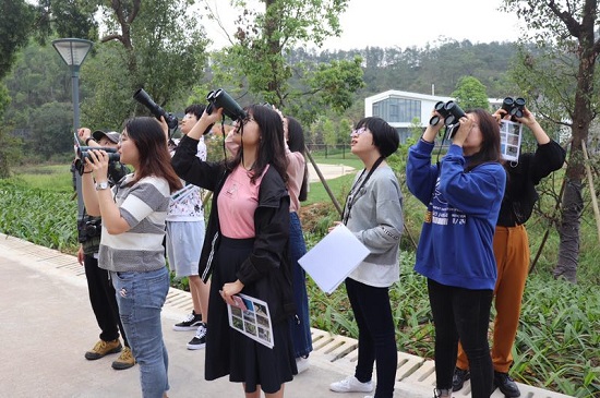 20190321德雅苑文雅苑春分观鸟日8