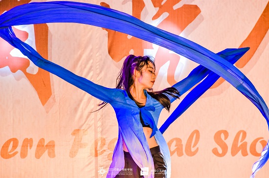 20190219元宵晚会7太极社障月